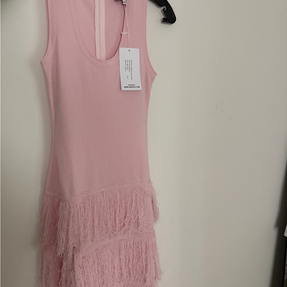 Aknvas Pink Fringe Dress - Picture 3 of 3